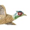 Antique Brooch of a Cock Pheasant in Flight in Gold and Enamelling, English circa 1920. - image 2