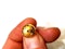 Pair of ruby and diamond gold cufflinks  DBGEMS - image 3
