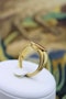 18 carat Yellow Gold Intaglio ring with Original French hall marks, circa 1890 - image 2