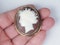 Victorian Shell Cameo Brooch  DBGEMS - image 2