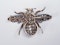 Amazing Antique Bee brooch  DBGEMS - image 6