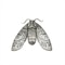 Silver and Niello Cicada  Brooch - image 1