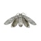Silver and Niello Cicada  Brooch - image 2