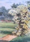 Albert Nikolaevich Benois (1852-1936), Garden, Watercolour, 1928 - image 1