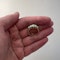 Date: London 1938, 9ct Yellow Gold, Opal stone set Ring, SHAPIRO & Co since1979 - image 5