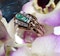 Retro Emerald and Diamond Ring - image 4