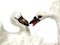 Pair of Meissen swans - image 2