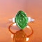 A Jade Ring - image 1