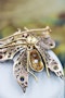 An exceptional Pearl, Ruby, Sapphire & Diamond Butterfly Brooch in Silver Tipped 18 Carat Yellow Gold, French, Circa 1880 - image 1