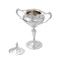 A stunning art nouveau large silver trophy cup - image 1
