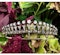 French Antique Diamond Fringe Tiara Necklace, 14.00 Carats - image 3