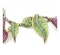 Moira Ruby, Diamond, Silver And Gold Calla Lily Necklace - image 4