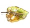 Moira Frog On Leaf Brooch - image 3