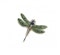 Moira Green Garnet, Diamond, Sapphire, Silver And Gold Dragonfly Brooch - image 3