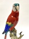 Pair of Meissen parrots - image 8