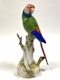 Pair of Meissen parrots - image 5