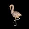 MM7122b Pink diamond gold flamingo brooch by E Wolfe amazing piece 1950c - image 1