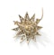 Victorian Diamond, Silver And Gold Twelve Ray Star Brooch, 7.00ct, Circa 1890 - image 3