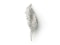 Diamond And Platinum Feather Brooch - image 2
