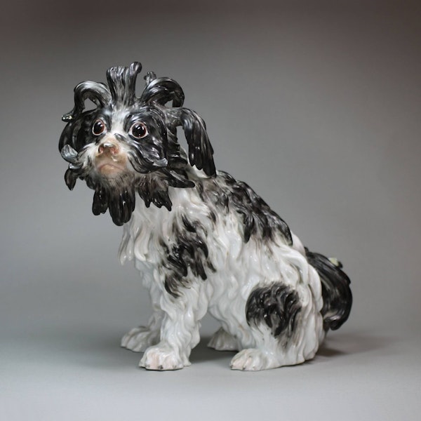German Meissen model of a Bolognese hound (Bologner Hund), late 19th century - image 1