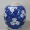 Small Chinese blue and white ginger jar, Kangxi (1662-1722) - image 5