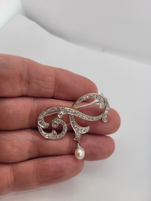 Edwardian diamond and pearl pin SKU: 6408 DBGEMS - image 5