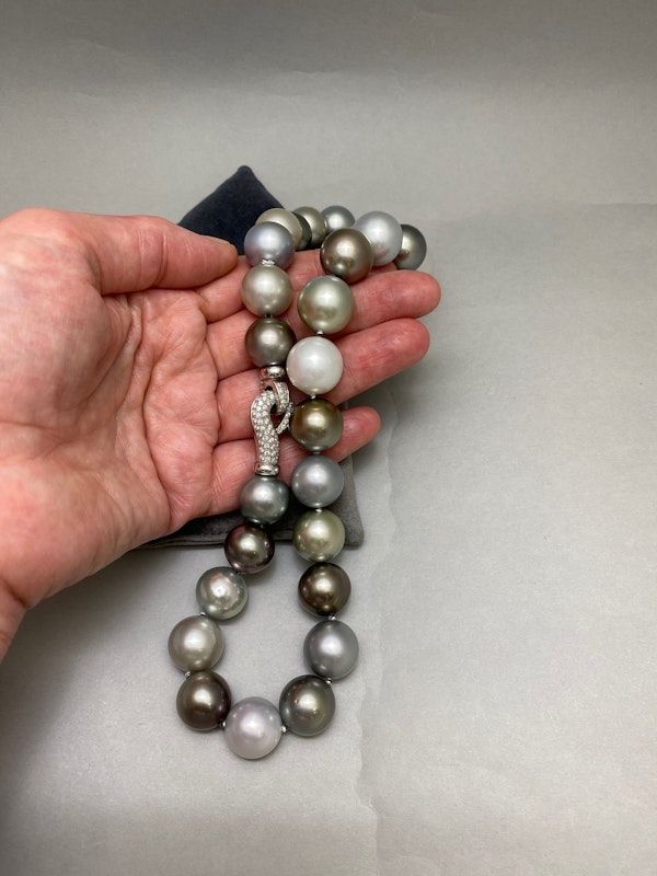 South Sea Pearl Necklace with 18ct White Gold Clasp date circa 1980, SHAPIRO & Co since1979 - image 5