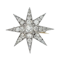 Chunky Victorian diamond star brooch SKU: 6823 DB - image 1