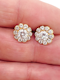 Diamond cluster earrings set inn 18ct yellow gold SKU: 6827 DBGEMS - image 2