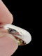 Stylish French pave diamond ring SKU: 6842 DBGEMS - image 4