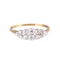 A Two Row Diamond Gold Ring - image 1
