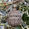 Large filigree silver gilt ball form pomander. Spanish, circa 1700. - image 13