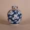 Chinese blue and white ginger jar and cover, Kangxi (1662-1722) - image 3