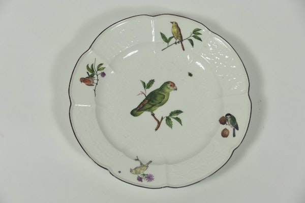 18th century Meissen ornithological plates - image 4