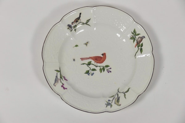 18th century Meissen ornithological plates - image 8