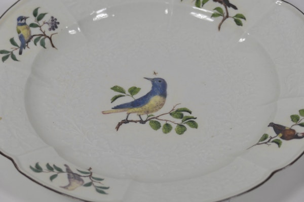 18th century Meissen ornithological plates - image 9