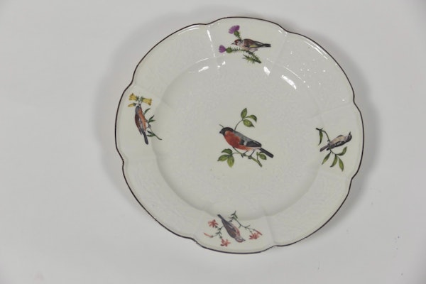 18th century Meissen ornithological plates - image 7
