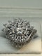Cartier Vintage diamond platinum ring at Deco&Vintage Ltd - image 2