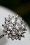 A very fine 18 carat White Gold Diamond Cluster Ring - image 3