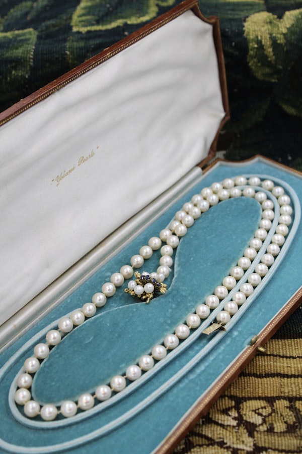 A fine Yellow Gold & Strung Cultured Pearl Necklace, set with four Round Cut Natural Sapphires (0.40 carats) and eighty three Oval and Near Shaped Cultured Pearls. Circa 1960 - image 1