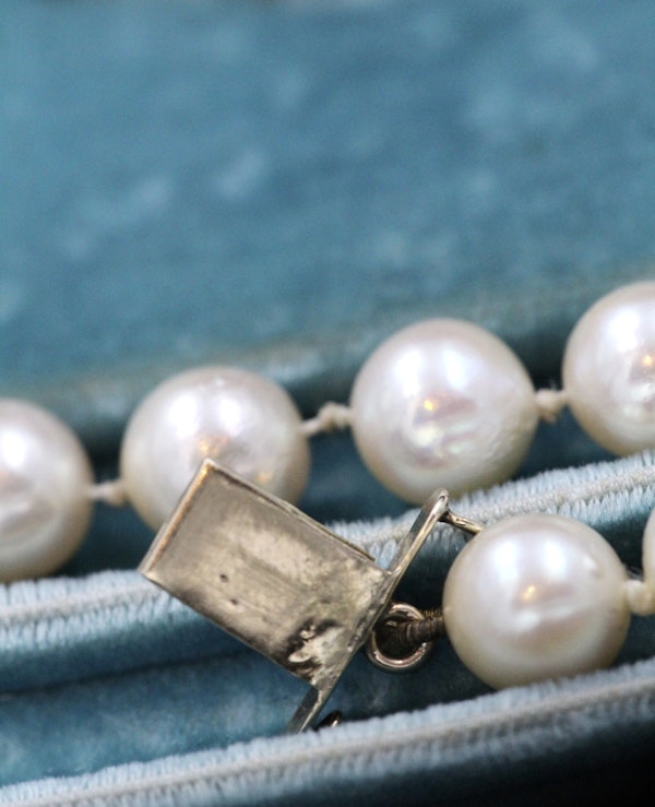 A fine Yellow Gold & Strung Cultured Pearl Necklace, set with four Round Cut Natural Sapphires (0.40 carats) and eighty three Oval and Near Shaped Cultured Pearls. Circa 1960 - image 5