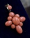 A very fine 15 ct Yellow Gold (tested) Natural Coral Pendant in the Quatrefoil style . Circa 1900 - image 1