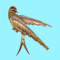 Vintage Retro Bird Brooch - image 3