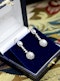 Platinum Art Deco Diamond Drop Earrings Circa 1925 - image 1