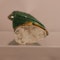 A Chinese famille verte biscuit parrot, Kangxi (1662-1722), - image 1