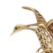 Cartier Bird Brooch in 18kt Yellow Gold - image 3