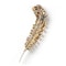 Vintage Diamond and Gold Feather Brooch, 3.50ct, Circa 1950 - image 5