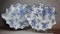 Pair of moulded Chinese leaf-shaped dishes, Qianlong (1736-95) - image 1