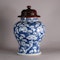 Chinese blue and white baluster vase, Kangxi (1662-1722) - image 1