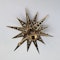 Antique Diamond Star Brooch. Saddingtons 375 - image 2